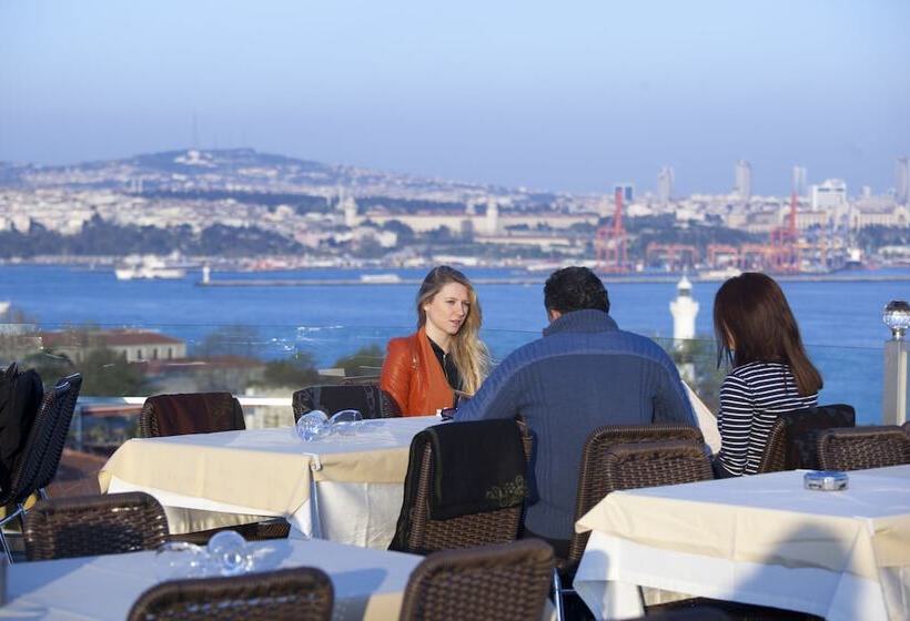 Seven Hills Hotel   Special Category