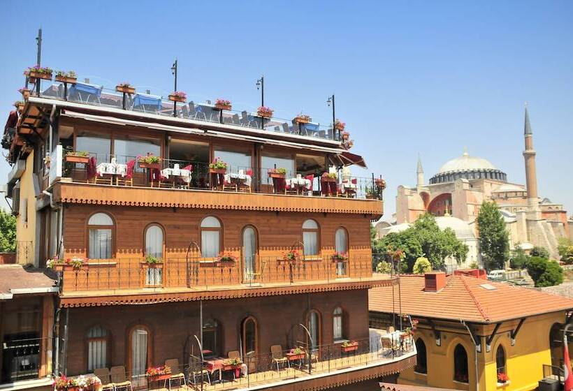 Seven Hills Hotel   Special Category