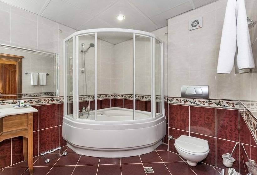 Seven Hills Hotel   Special Category