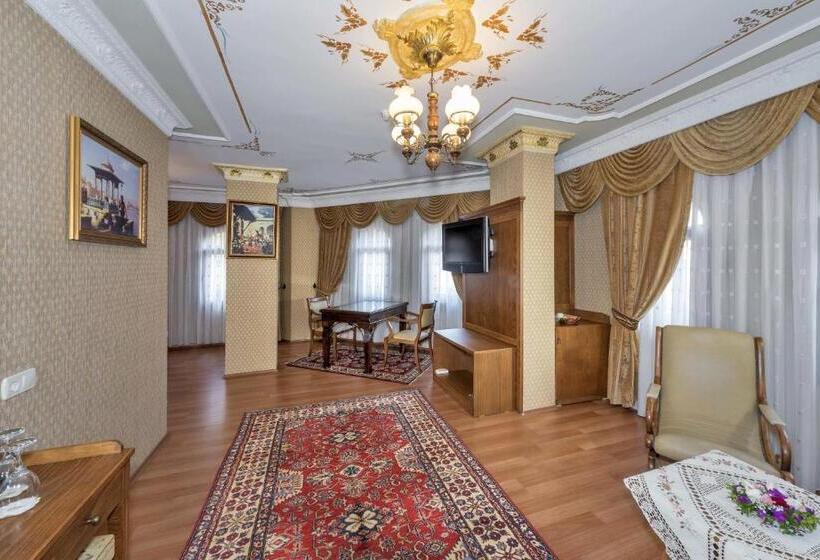 Seven Hills Hotel   Special Category