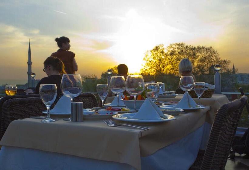 Seven Hills Hotel   Special Category