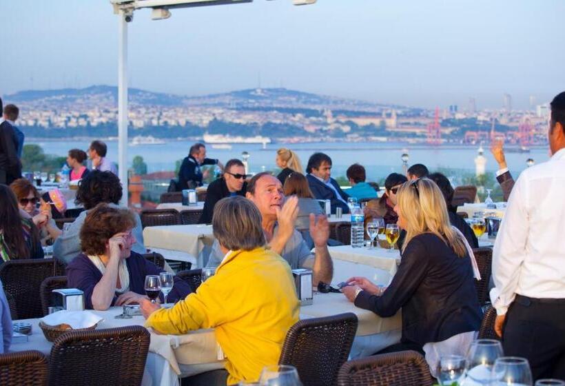 Seven Hills Hotel   Special Category