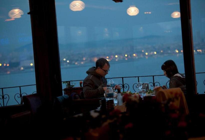 Seven Hills Hotel   Special Category