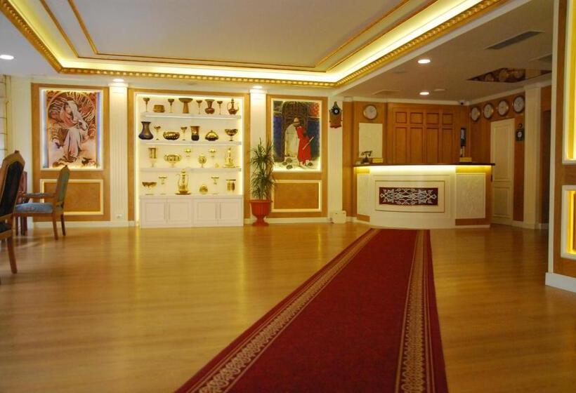 Seven Hills Hotel   Special Category