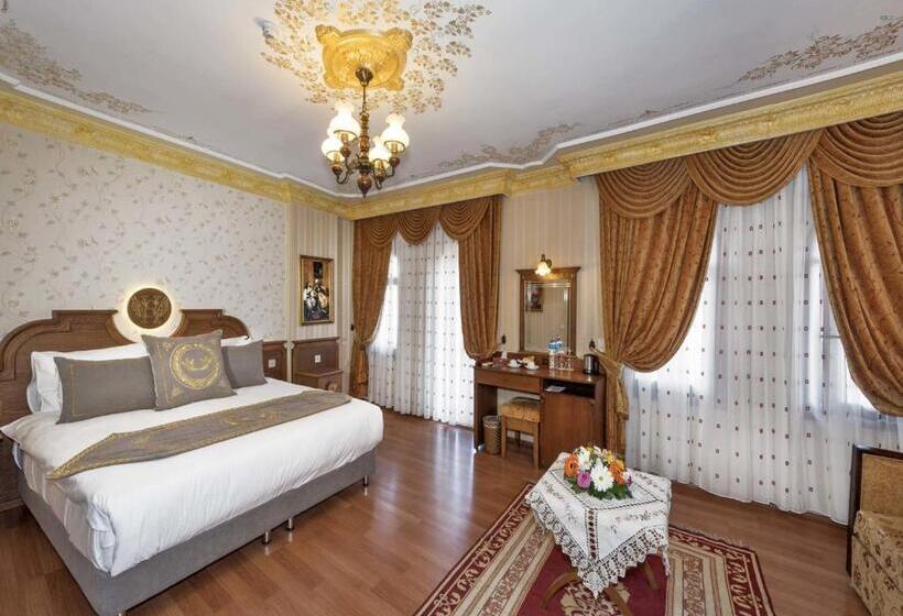 Seven Hills Hotel   Special Category