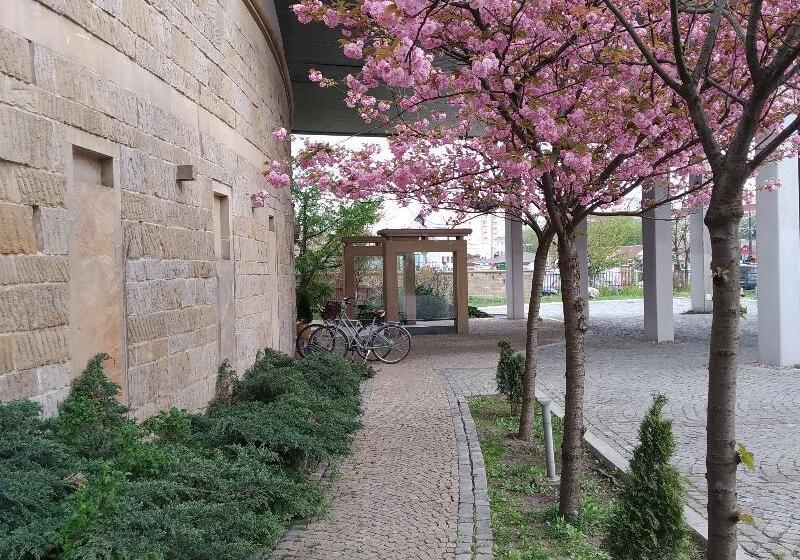 Отель Alibi Sympozjum Studio