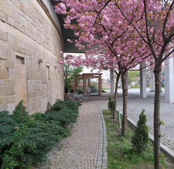 Отель Alibi Sympozjum Studio