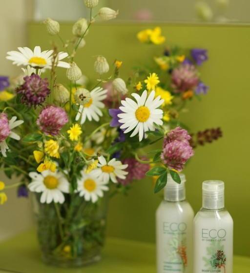 Thermal Hotels & Walliser Alpentherme Leukerbad