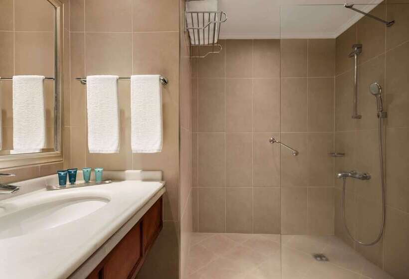 酒店 Wyndham Grand Kayseri