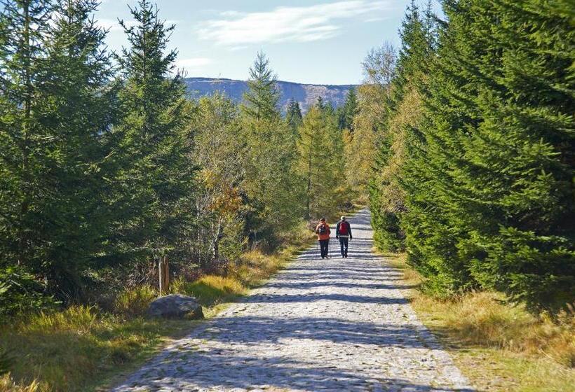 استراحتگاه Mercure Karpacz Skalny