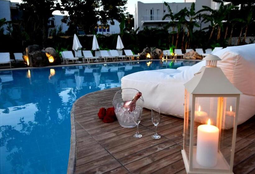 Palm Beach Hotel   Adults Only