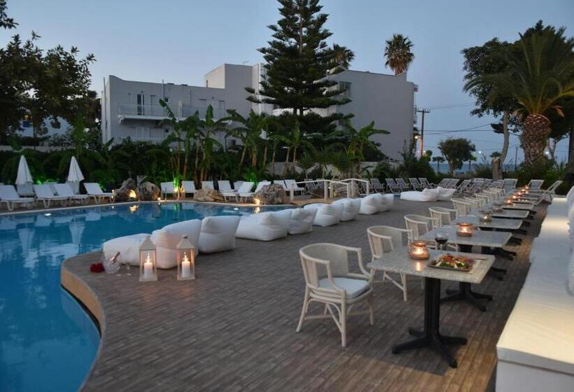 Palm Beach Hotel   Adults Only