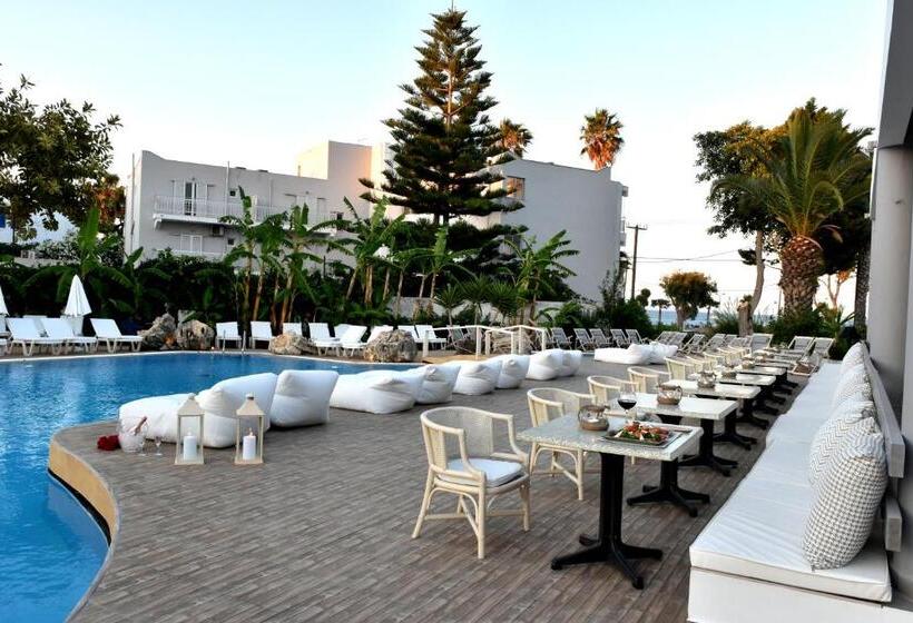 Palm Beach Hotel   Adults Only