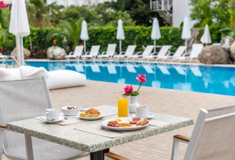 Palm Beach Hotel   Adults Only