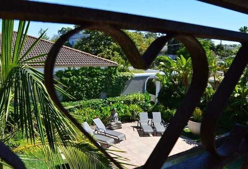 African Palm Cottage