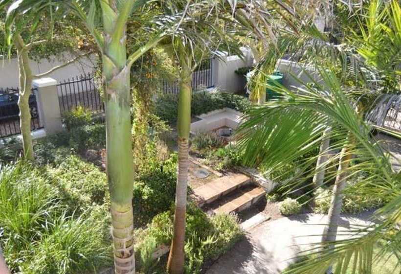 African Palm Cottage