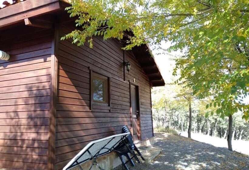 Общежитие Casa Fausto