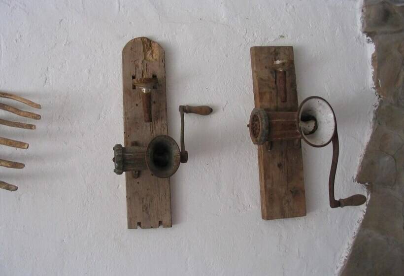 Общежитие Casa Fausto