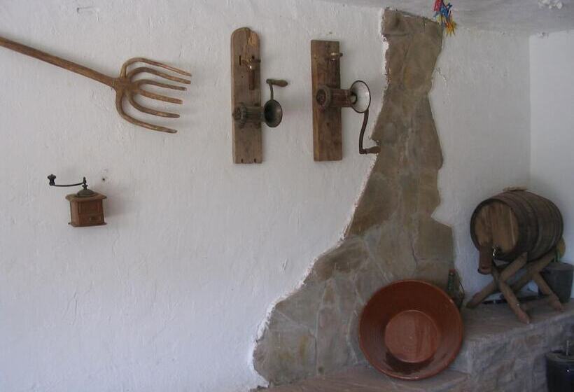 Общежитие Casa Fausto