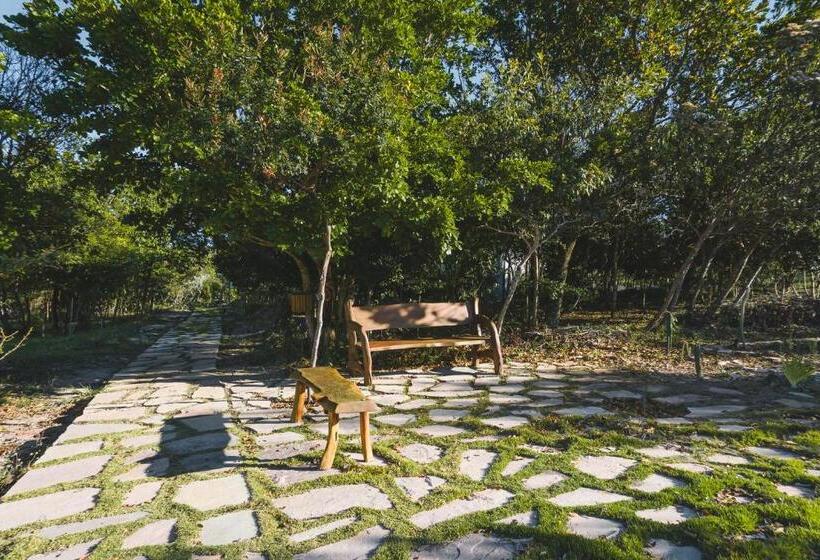 הוסטל Pousada Amanhecer