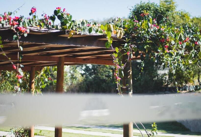 הוסטל Pousada Amanhecer