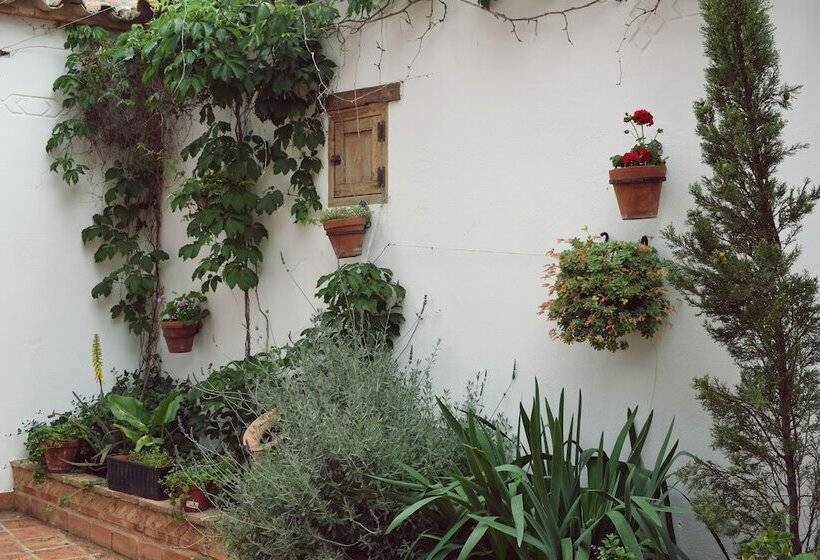 Apartamentos Turisticos La Vida De Antes