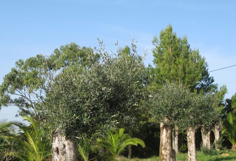 تختخواب و صبحانه Quinta Raposeiros