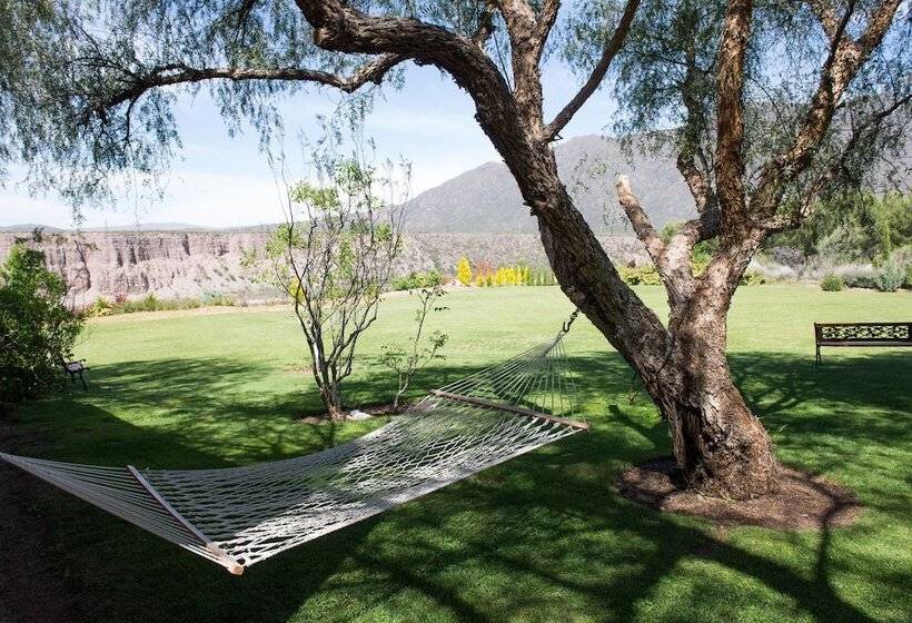 Entre Montañas Y Rio