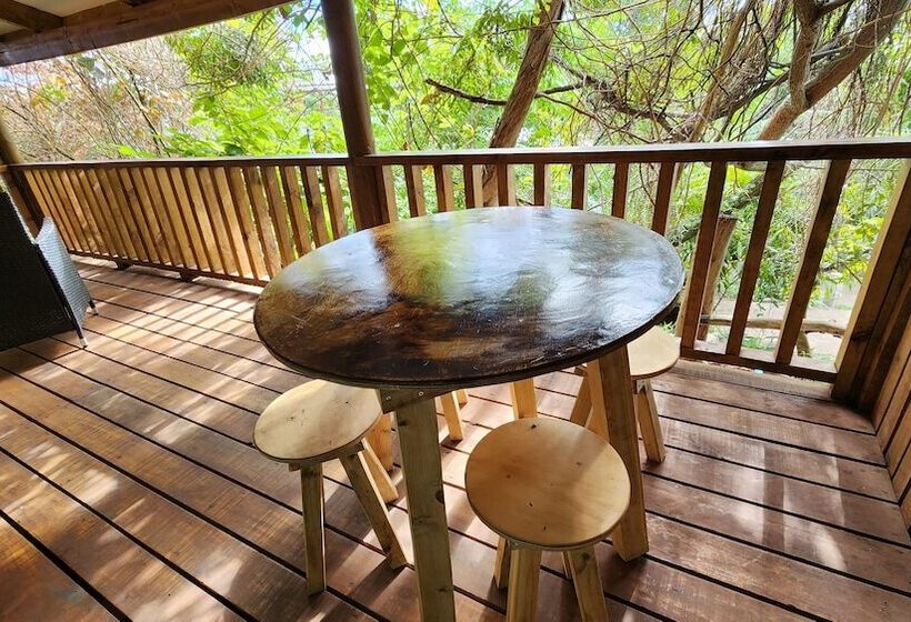 Отель Cabañas Manuto