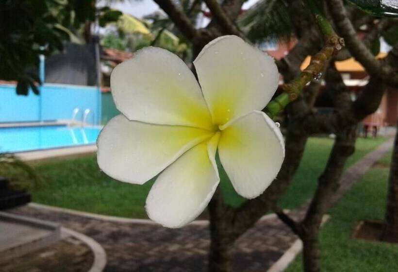 ホテル Larns Villa