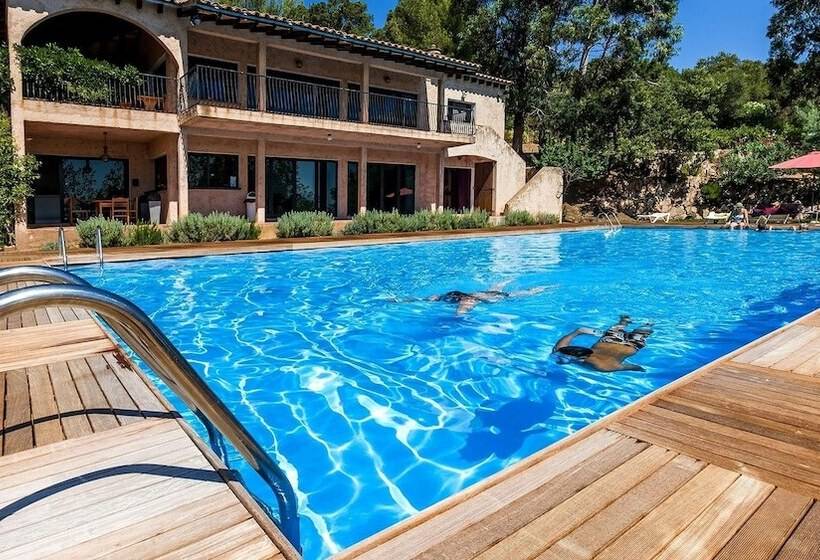 בית מלון כפרי Residence Royal Palm