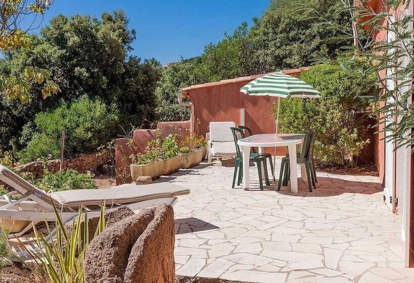 בית מלון כפרי Residence Royal Palm