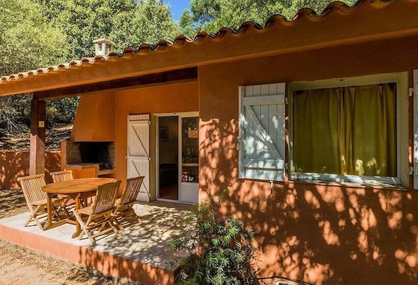 בית מלון כפרי Residence Royal Palm