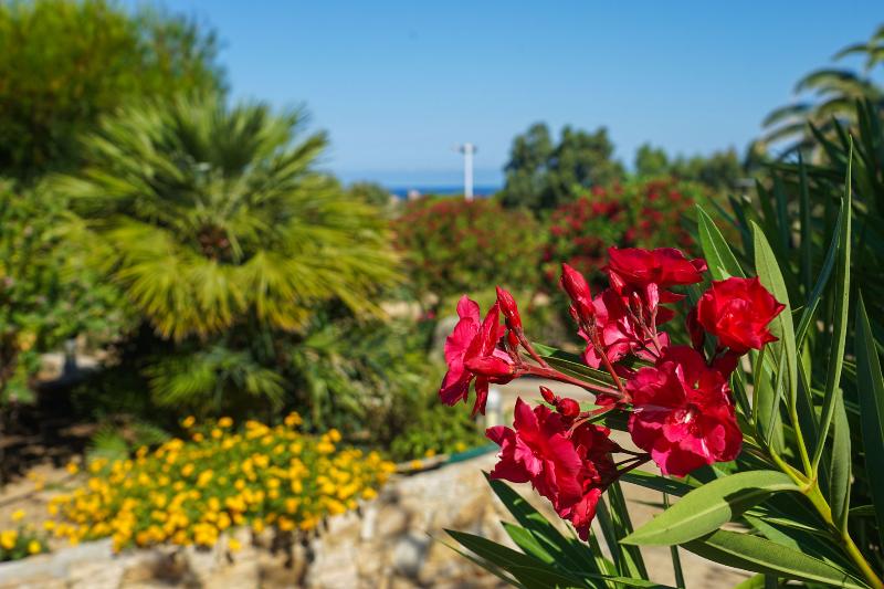 Отель Résidence Arinella