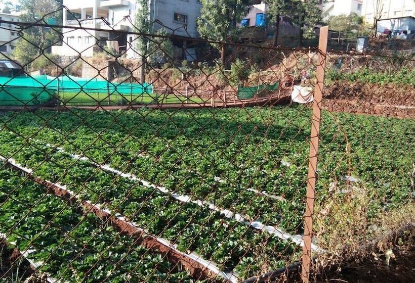 בית מלון כפרי Silver Oak Villa