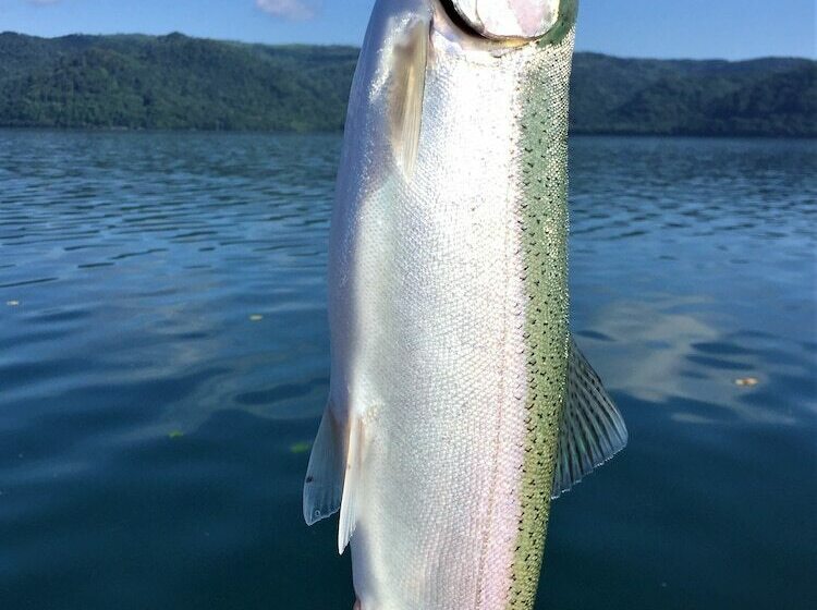 בית מלון כפרי Wakkanupuri