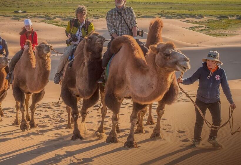 Mongolian Vision Tours   Hostel