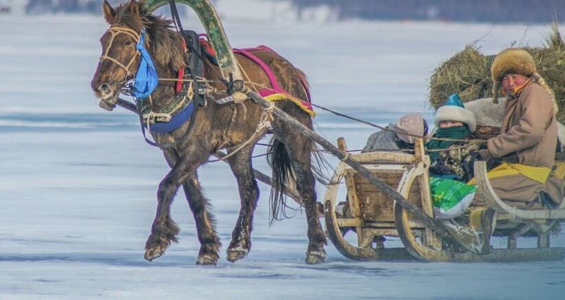 Mongolian Vision Tours   Hostel