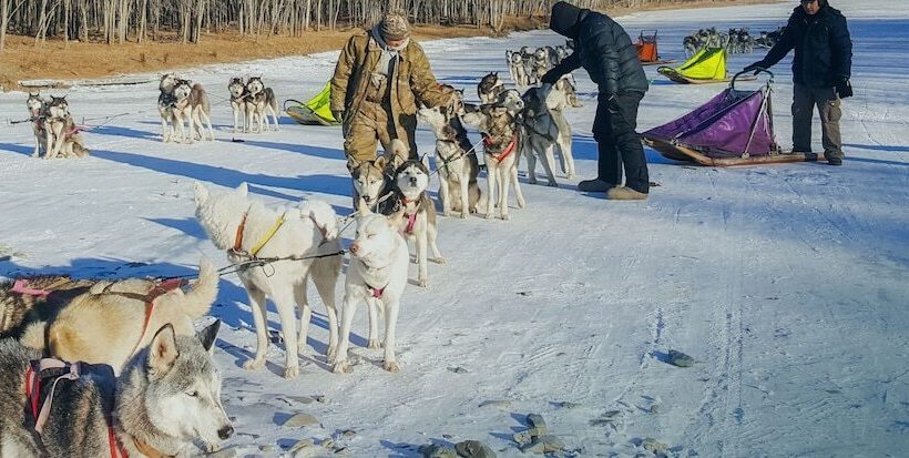 Mongolian Vision Tours   Hostel