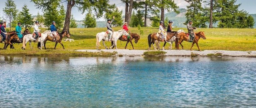 Mongolian Vision Tours   Hostel