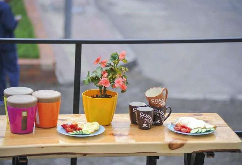 Mongolian Vision Tours   Hostel