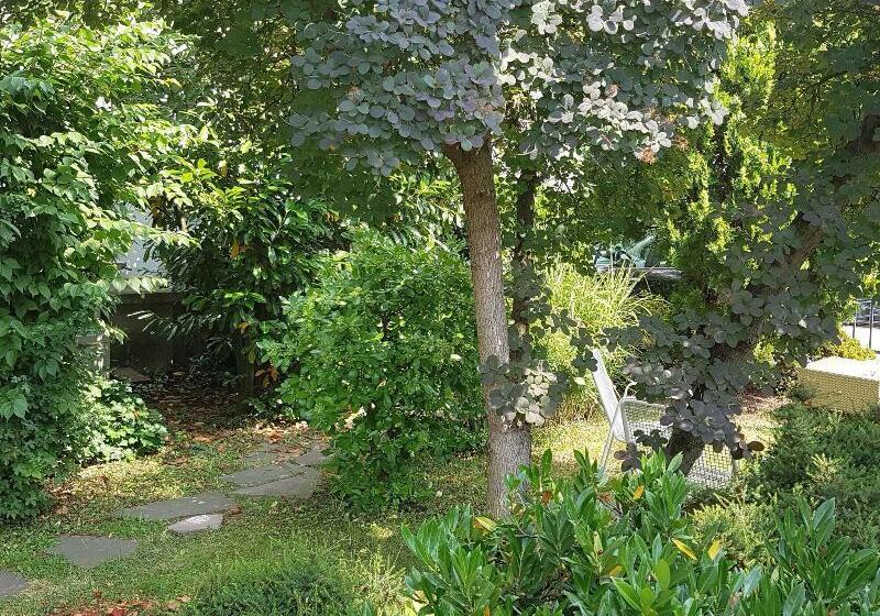 بنسيون A&s Ferienwohnungen Koblenzer Strasse