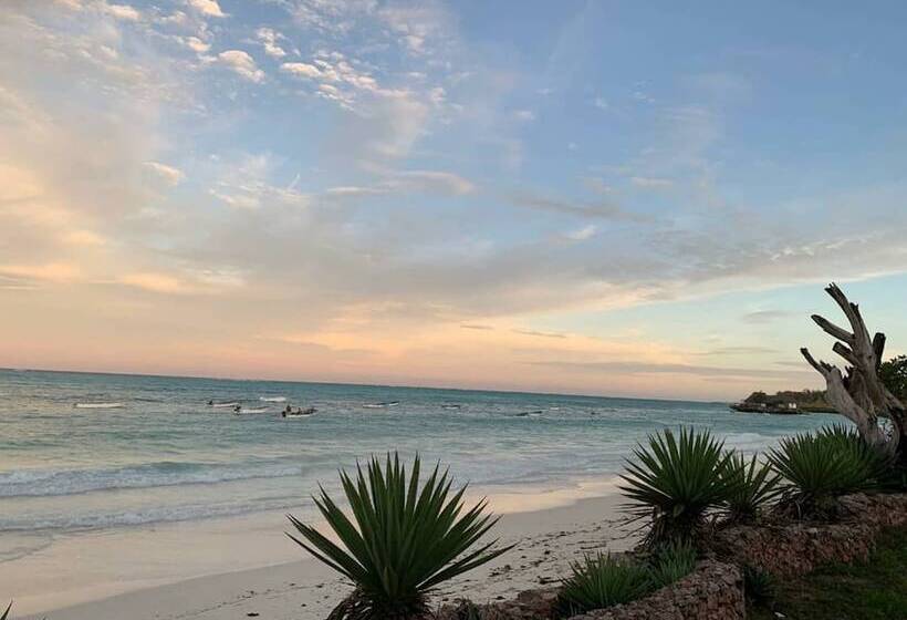 פנסיון Beach House Michamvi