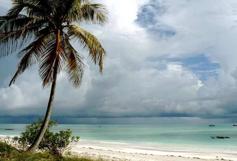 ペンション Beach House Michamvi