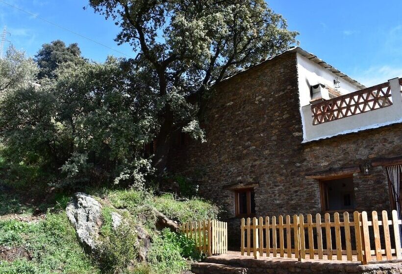 膳宿费 Dreams Alpujarra