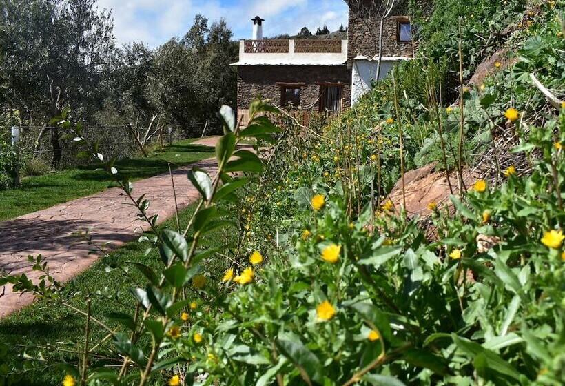 膳宿费 Dreams Alpujarra