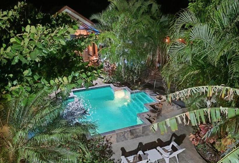 ペンション Suite Paraiso Azul