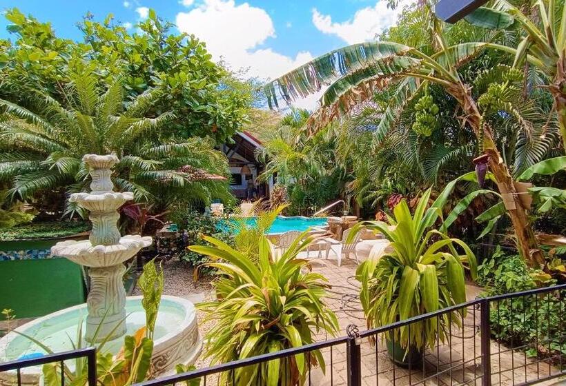 ペンション Suite Paraiso Azul