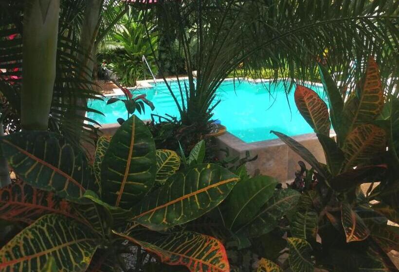 ペンション Suite Paraiso Azul