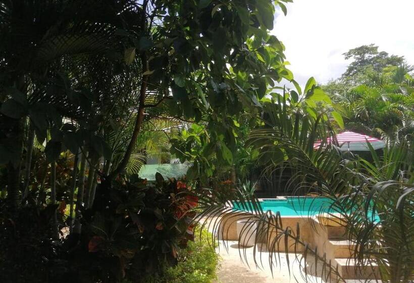 ペンション Suite Paraiso Azul